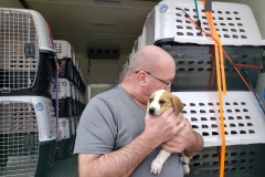 Small-Rescue-Dog-Transported-Back-To-Pennsylvania