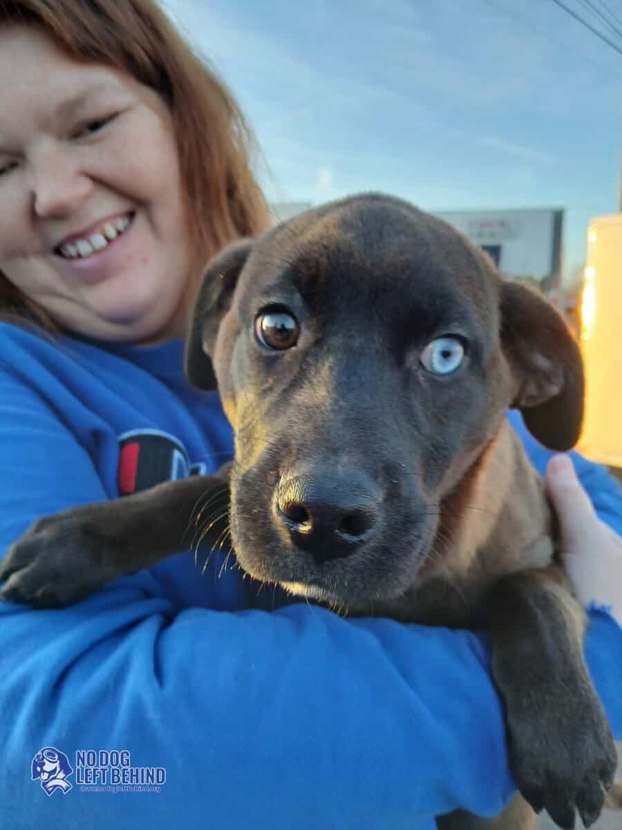 600991903_1284497107043668_6611104565173805100_n