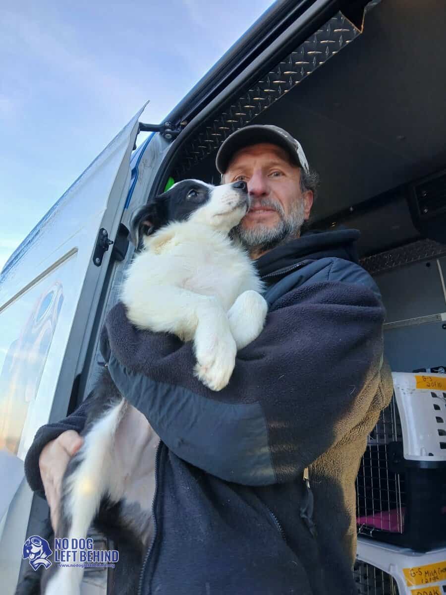 600994102_1284497127043666_4195548096319779867_n