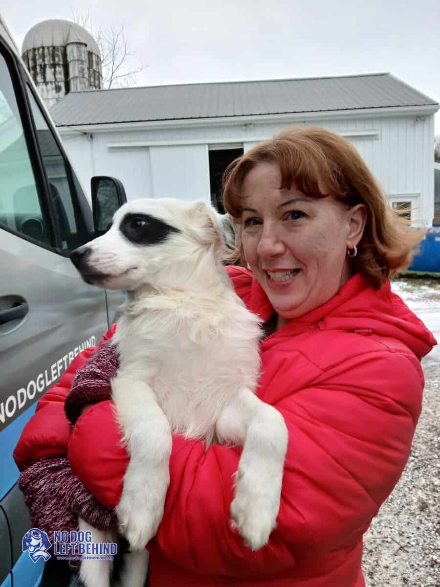 601018805_1284497263710319_7830094773758030850_n