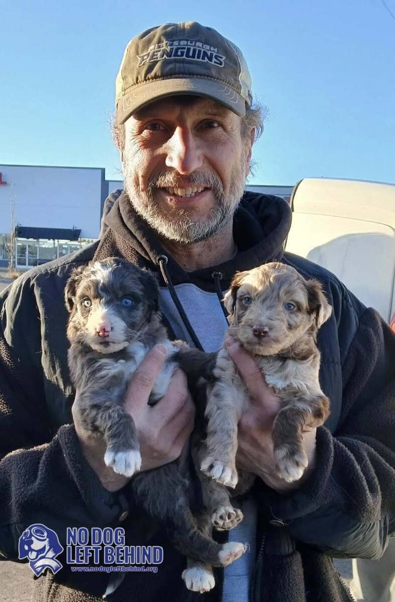 601043651_1284497147043664_2656764296912632221_n