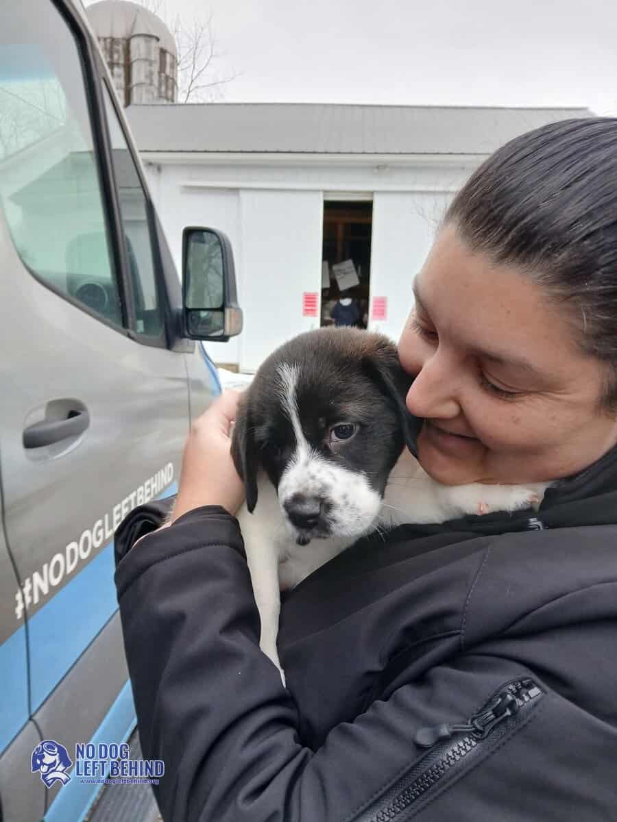 603839759_1284497283710317_6622310518981922395_n