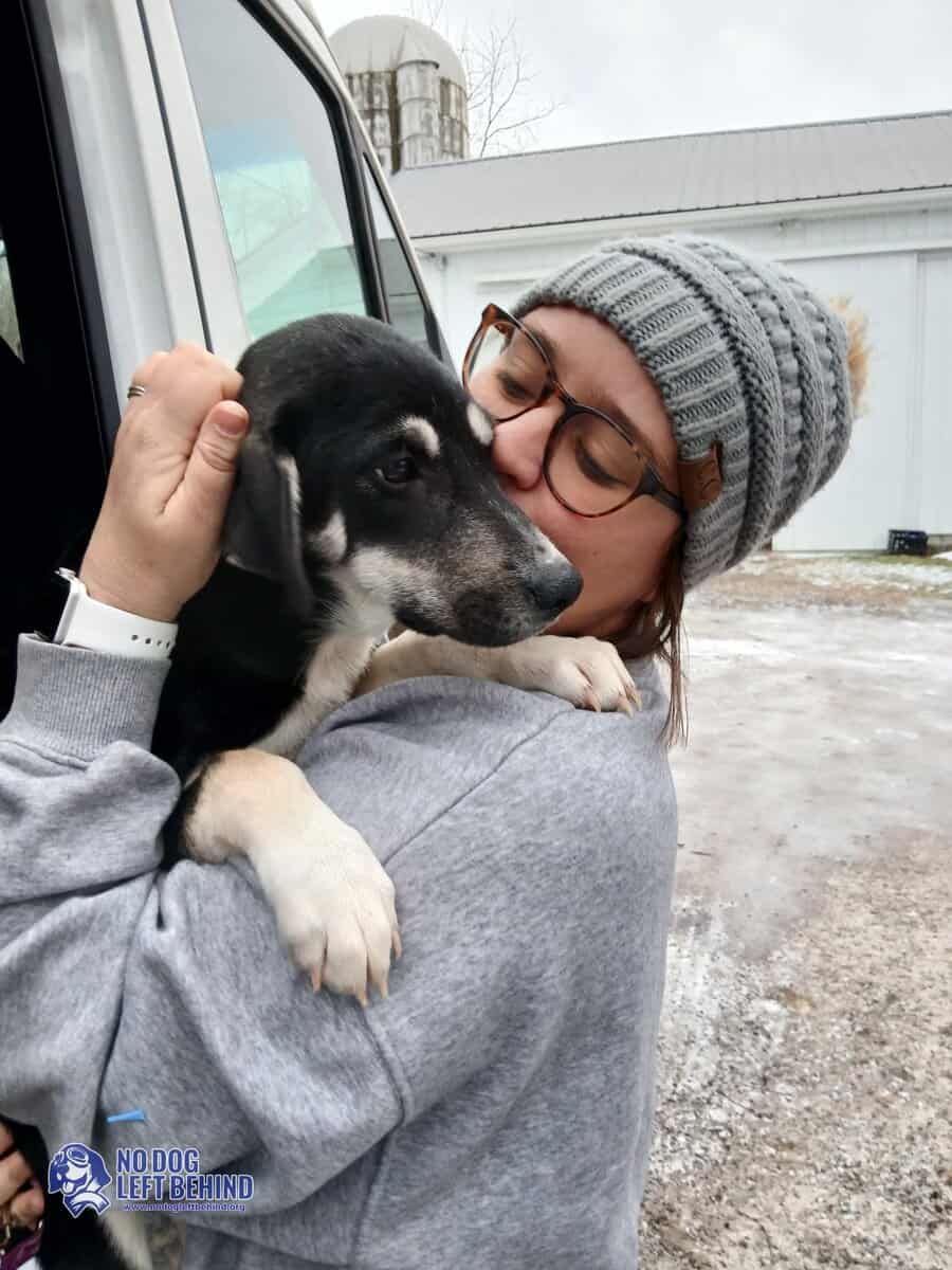 603936167_1284497320376980_8866815656534989160_n