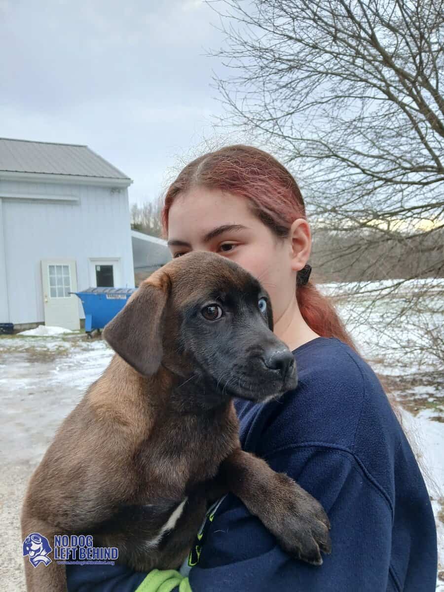 603938430_1284497223710323_9059826768761124269_n