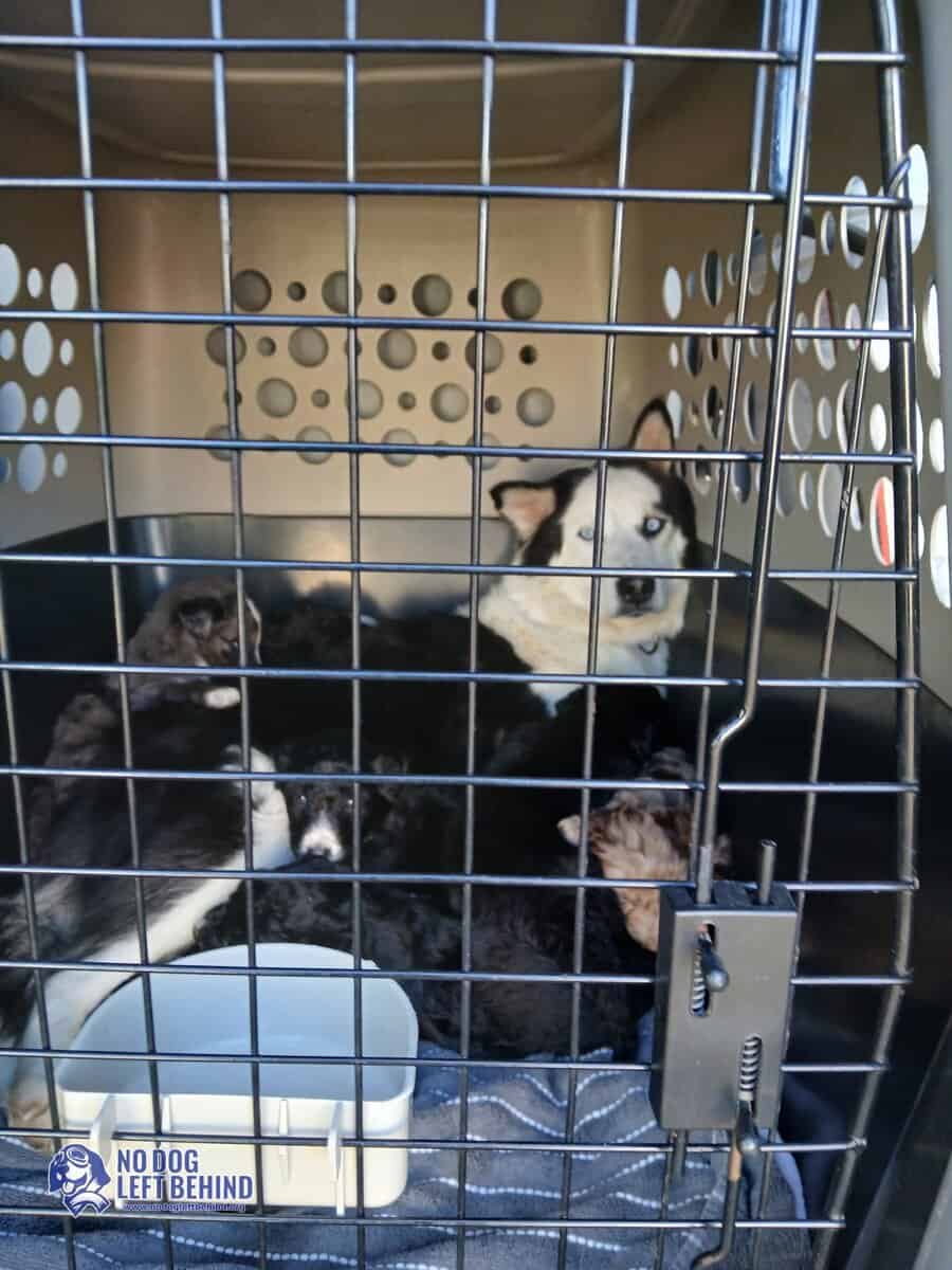 603947738_1284497257043653_1561889918834458505_n