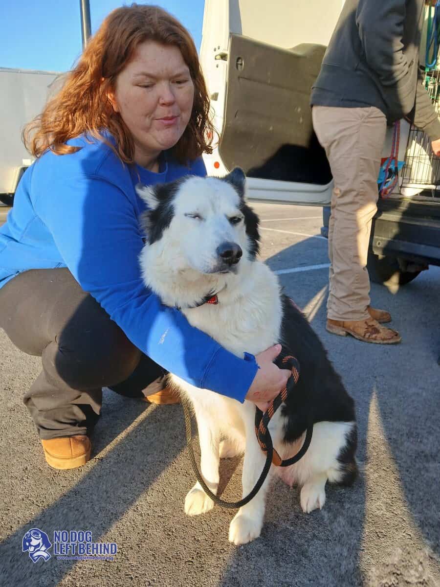 603962526_1284497113710334_3659878537992275521_n