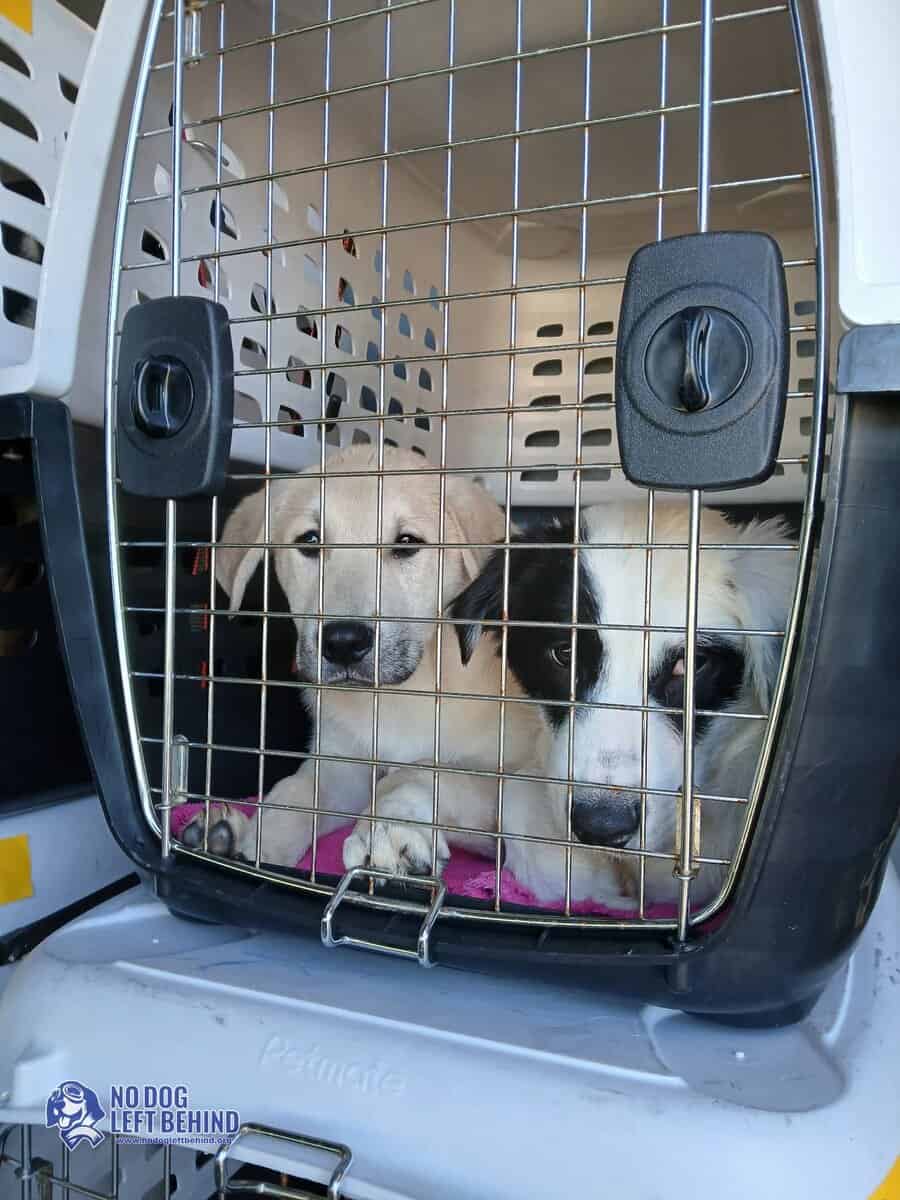 603965644_1284497153710330_3446812715759521739_n