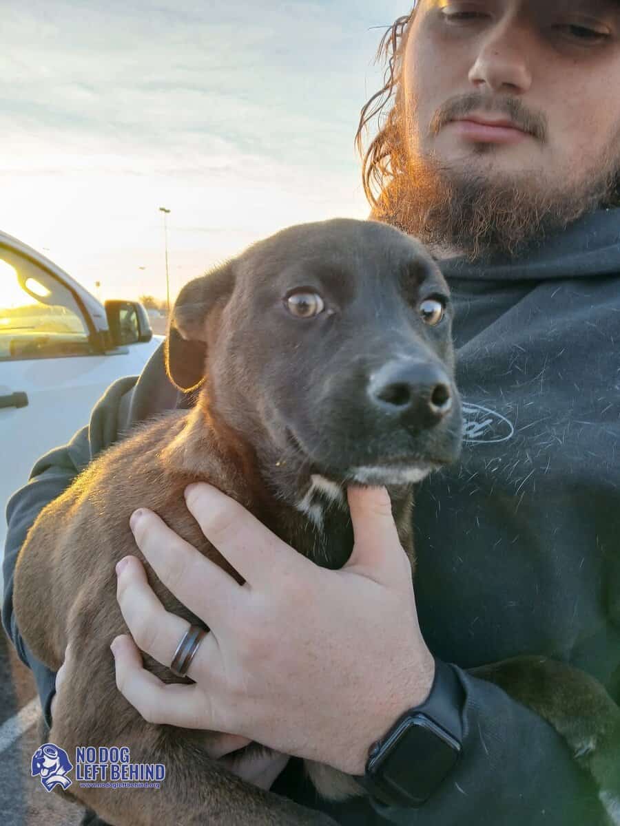 603975703_1284497183710327_282296769929354541_n