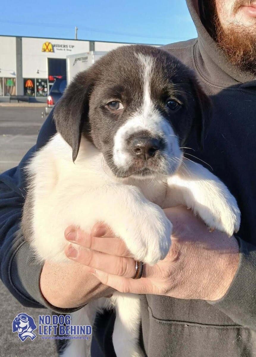 605130497_1284497193710326_1107783272429148474_n