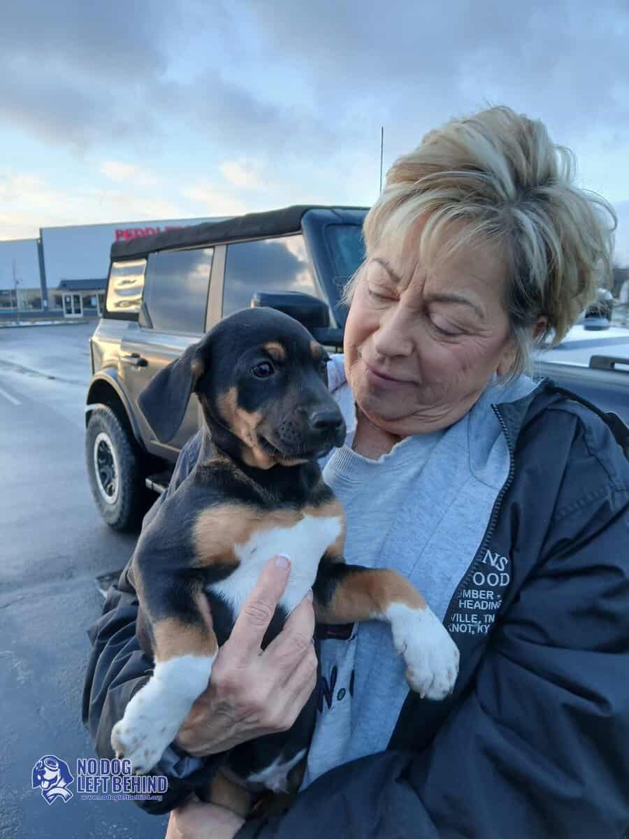 618964902_1306185281541517_2627053267762057250_n