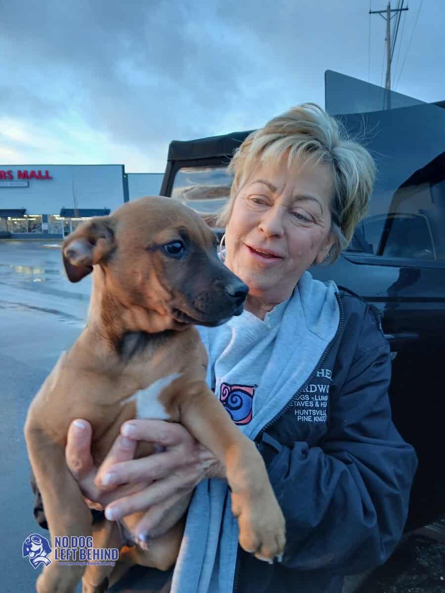 618977734_1306185354874843_3152517590525793541_n