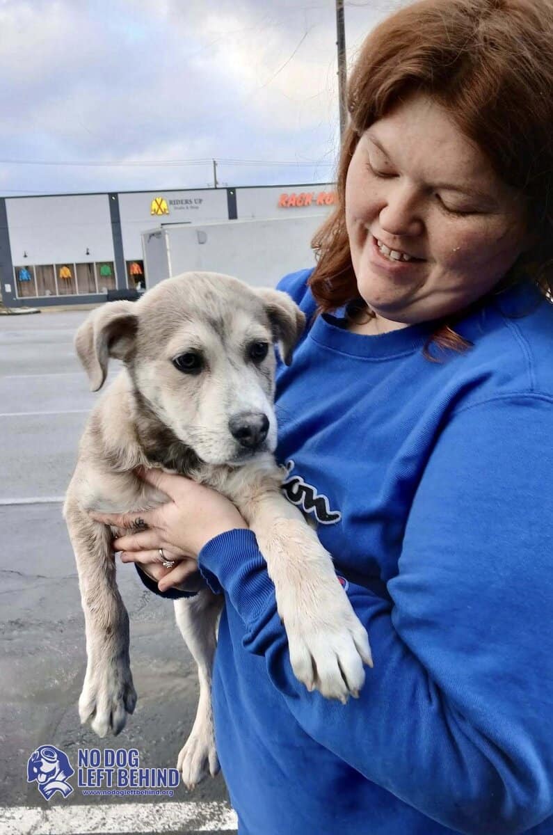 618980050_1306185014874877_3794881820193102906_n