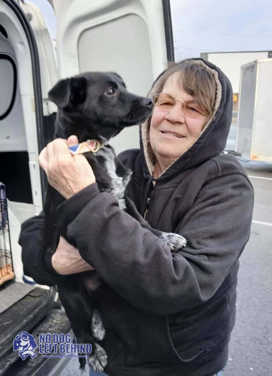 618989455_1306185184874860_5206708353277967387_n