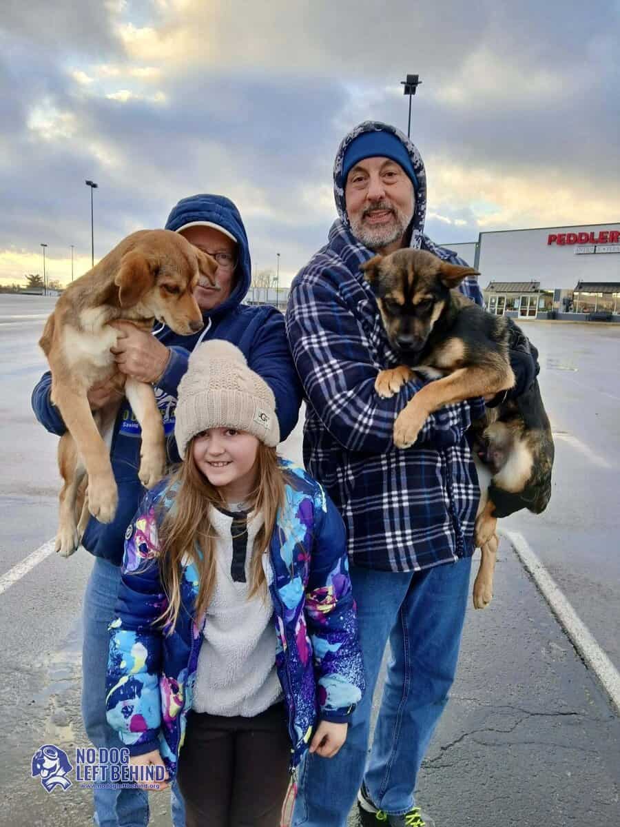 619031812_1306185008208211_8162778801214217452_n