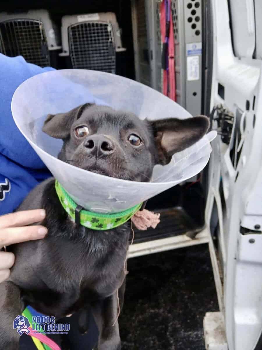 619050907_1306185314874847_2054284078516424069_n