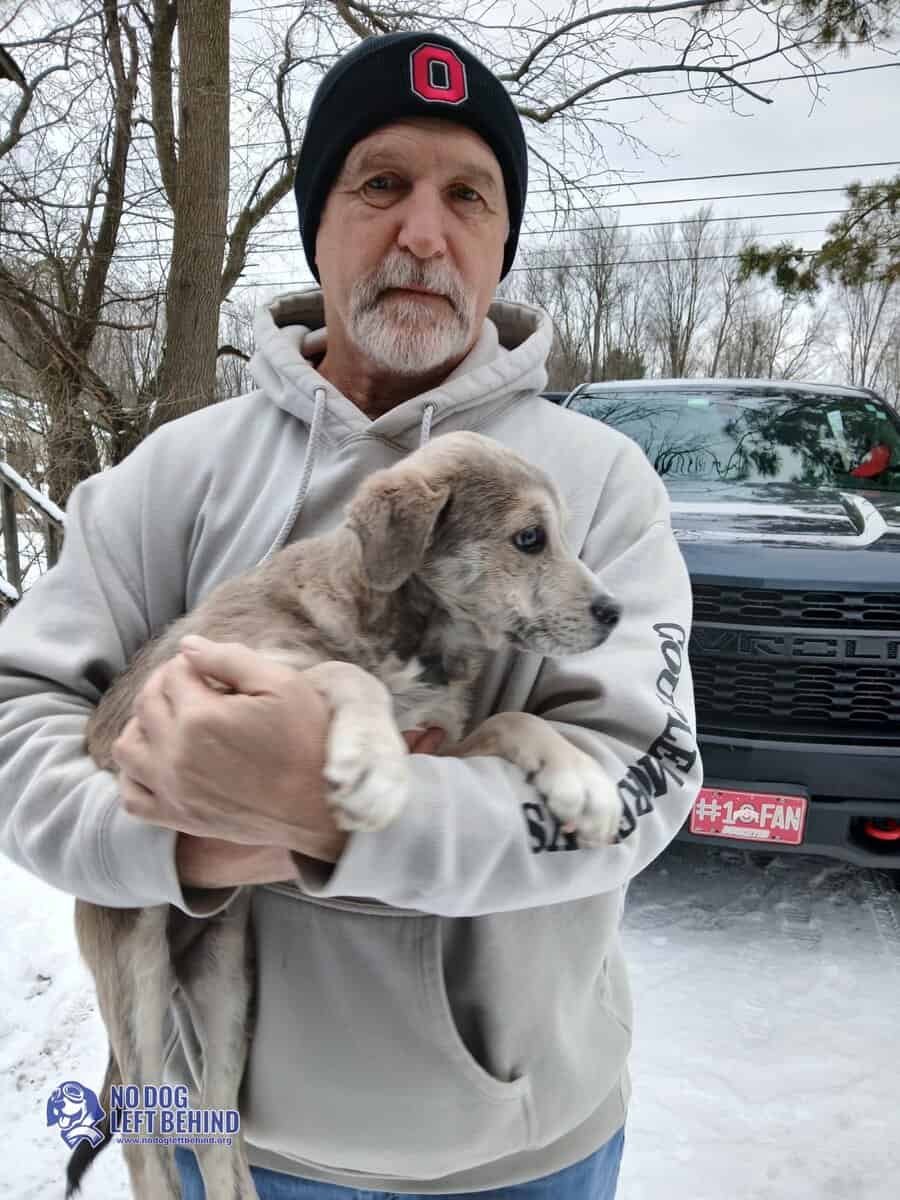 619074892_1306184988208213_8587399010182902885_n