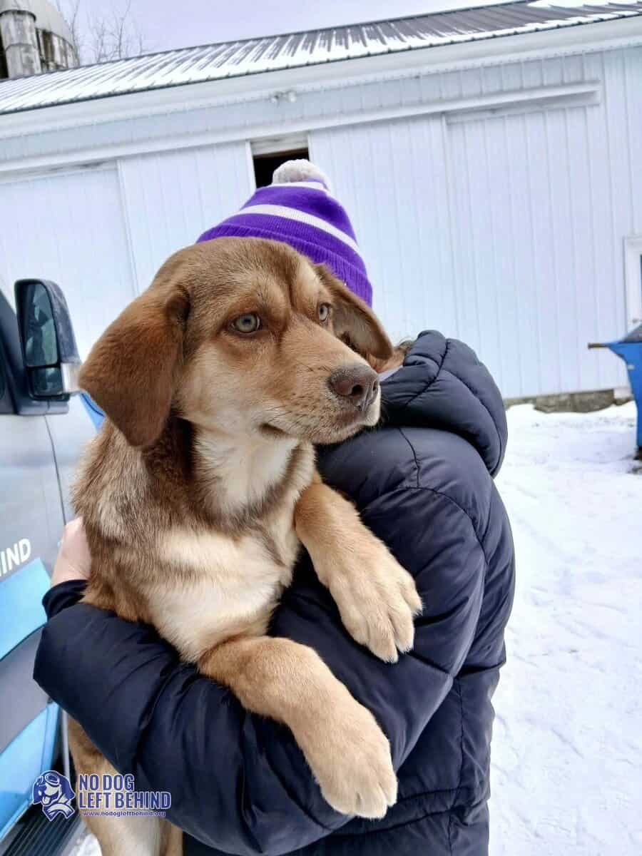 619111983_1306185294874849_8120040523554380691_n